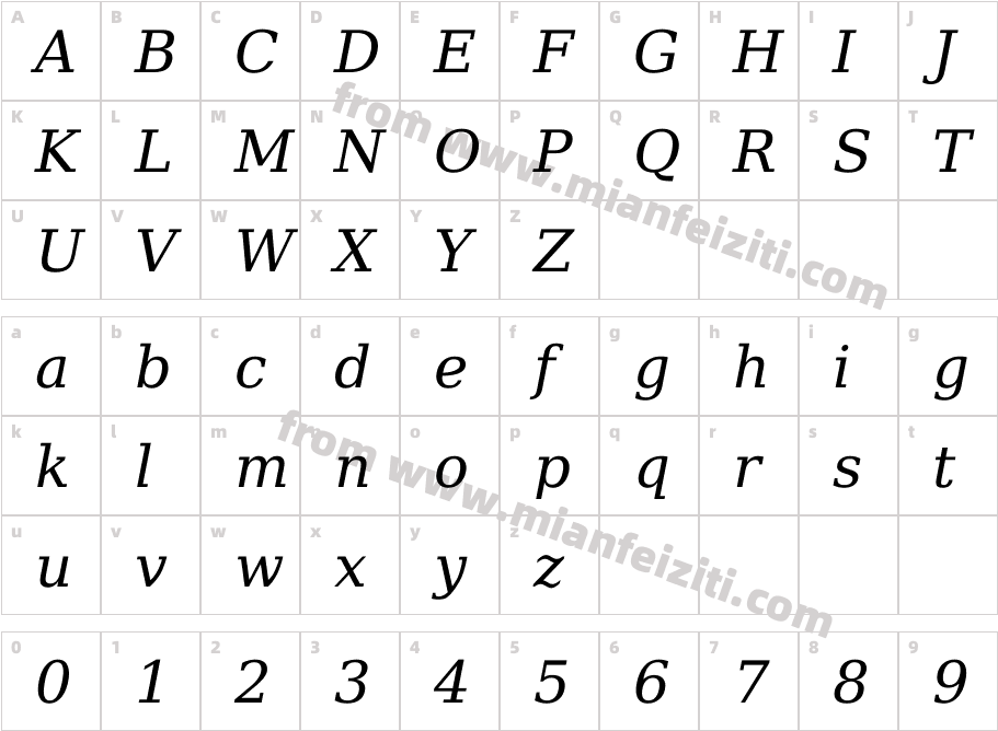 Deja Vu Serif Italic_13357字体映射图