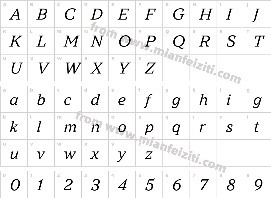 TT Norms Pro Serif Trl Nml It字体映射图