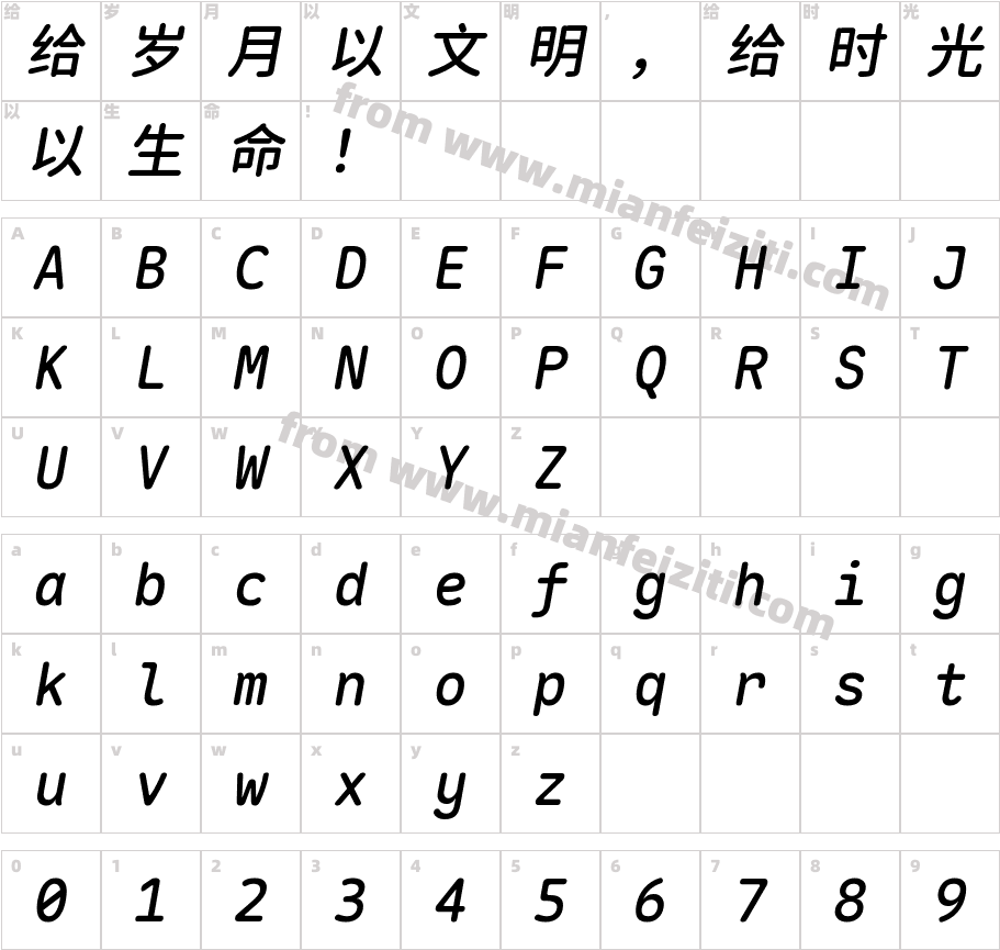 Maple Mono Normal CN Medium Italic字体映射图