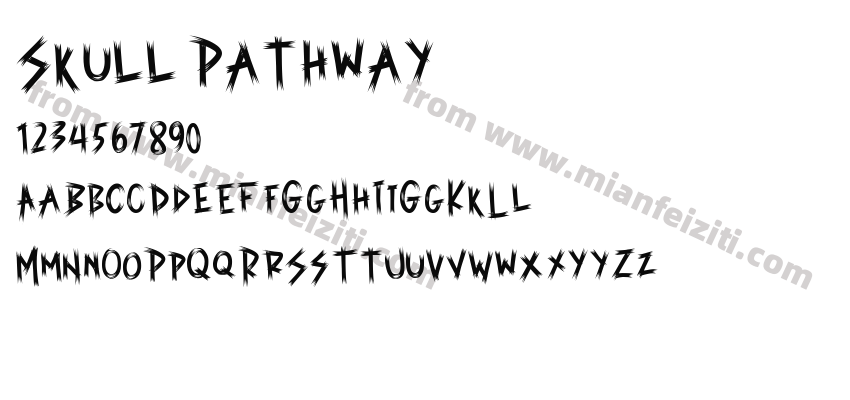 Skull Pathway预览图2