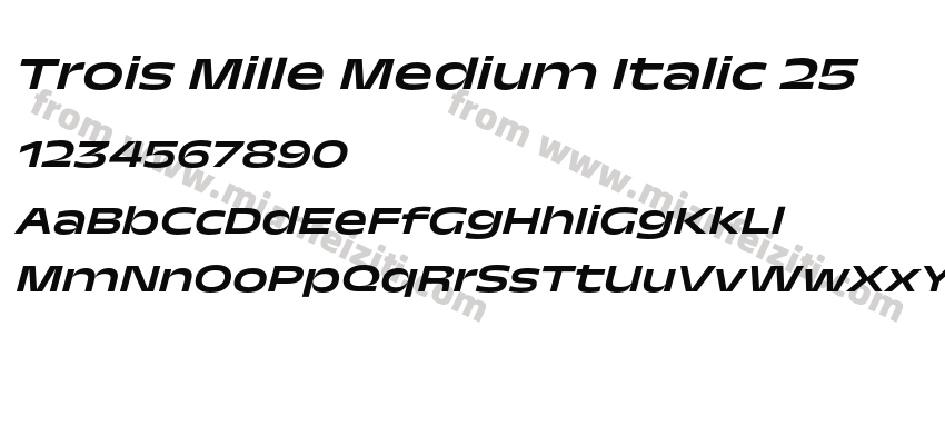 Trois Mille Medium Italic 25预览图2