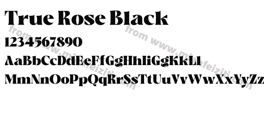 True Rose Black预览图2
