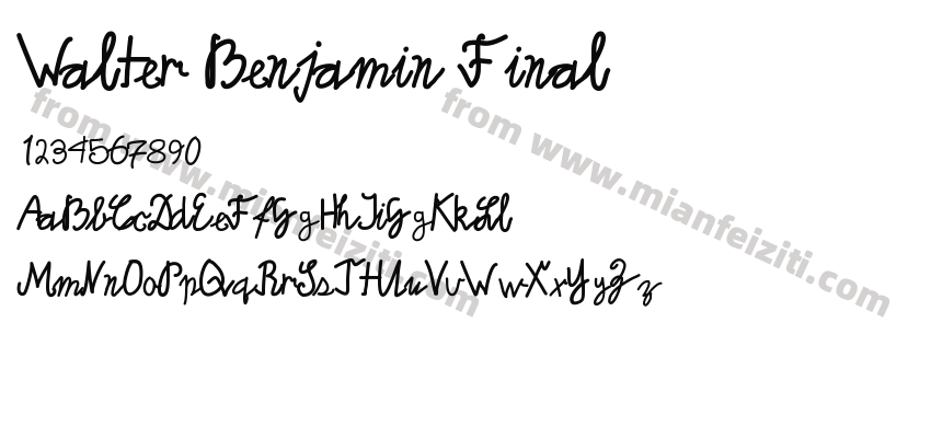 Walter Benjamin Final预览图2