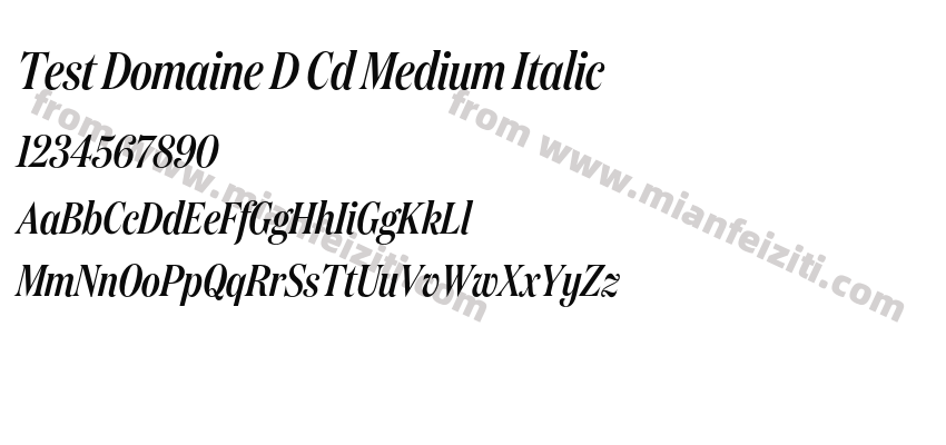Test Domaine D Cd Medium Italic预览图2
