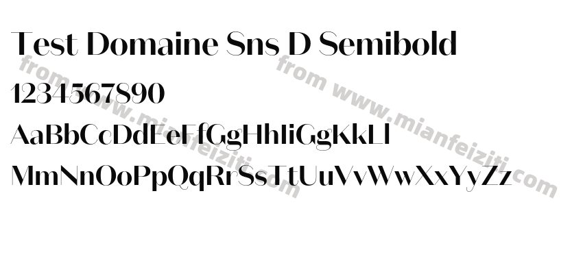 Test Domaine Sns D Semibold预览图2