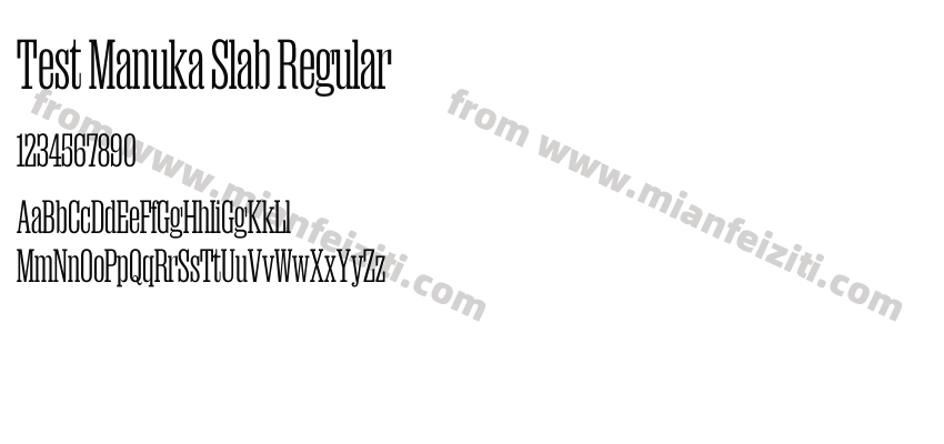Test Manuka Slab Regular预览图2