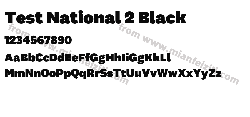 Test National 2 Black预览图2