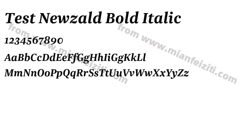 Test Newzald Bold Italic预览图2