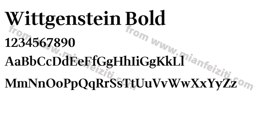 Wittgenstein Bold预览图2