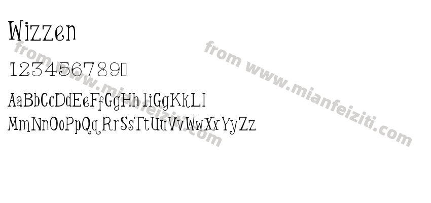 Wizzen预览图2