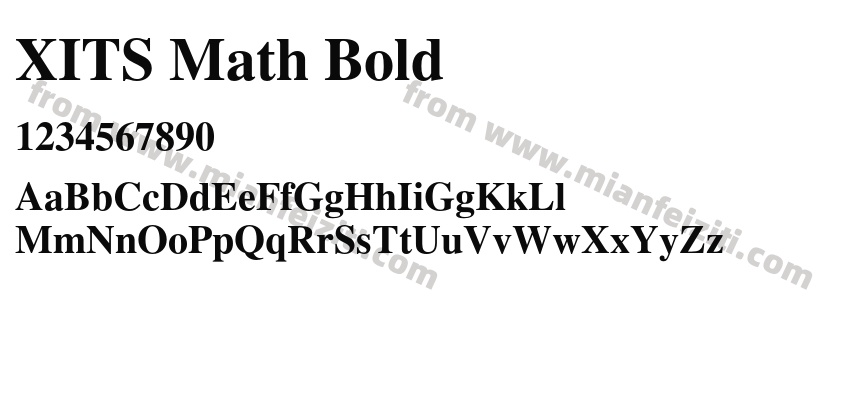 XITS Math Bold预览图2