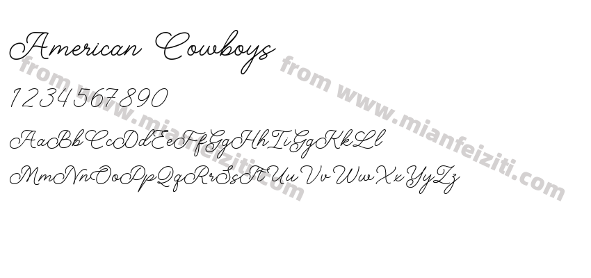 American Cowboys预览图2