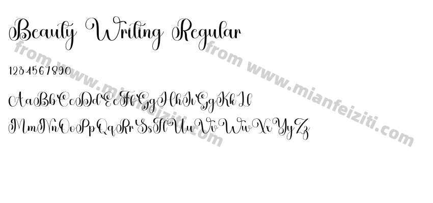 Beauty Writing Regular预览图2