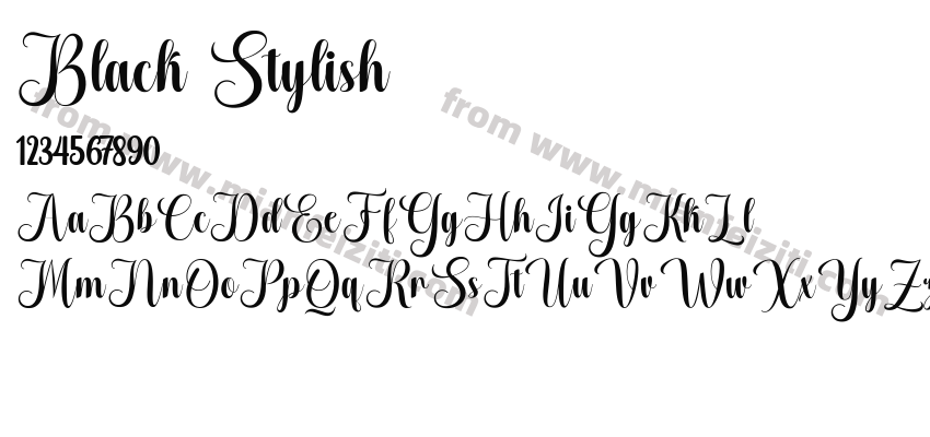 Black Stylish预览图2