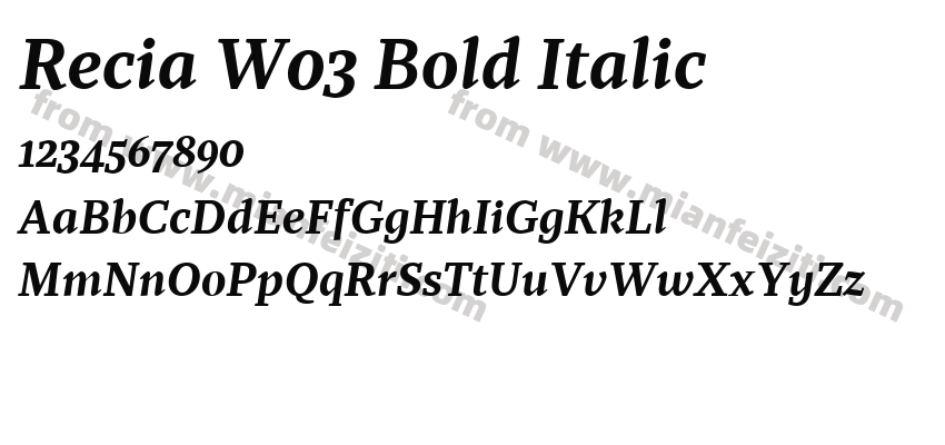 Recia W03 Bold Italic预览图2
