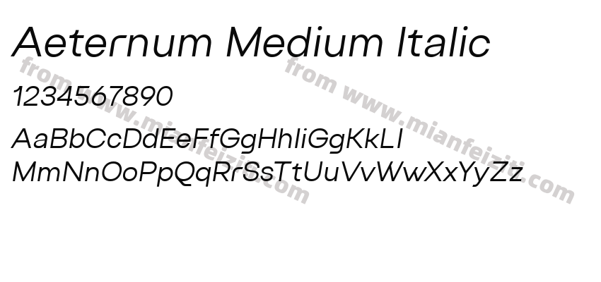 Aeternum Medium Italic预览图2