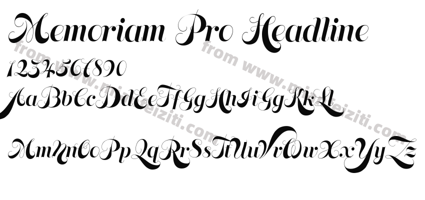 Memoriam Pro Headline预览图2
