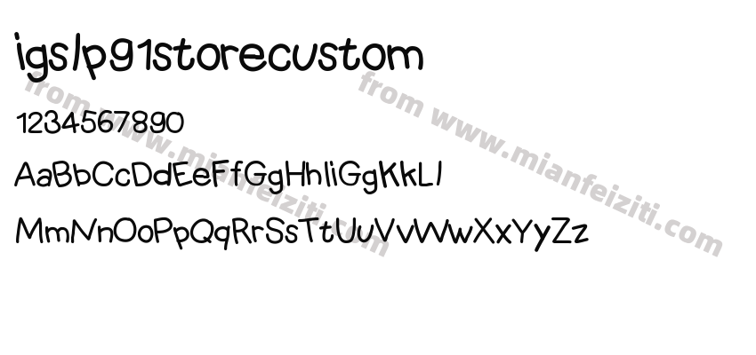 igslp91storecustom预览图2