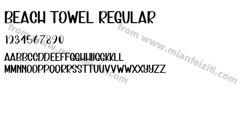 Beach Towel Regular预览图2