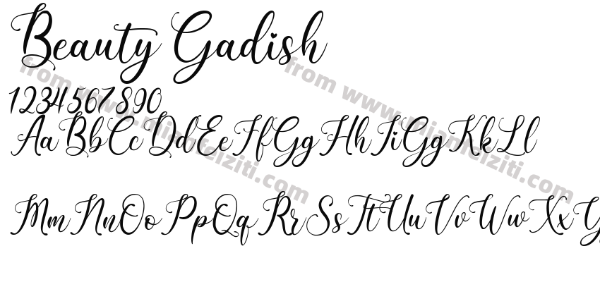 Beauty Gadish预览图2