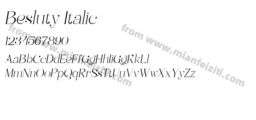 Besluty Italic预览图2
