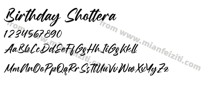 Birthday Shottera预览图2