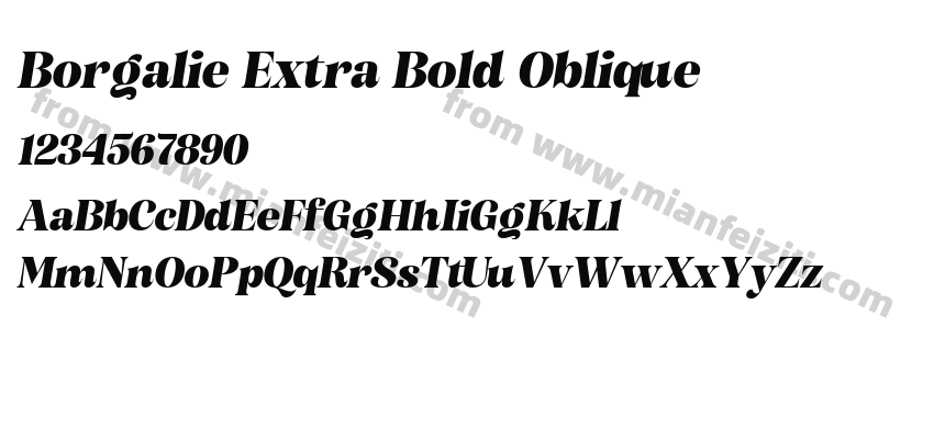 Borgalie Extra Bold Oblique预览图2