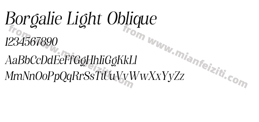Borgalie Light Oblique预览图2
