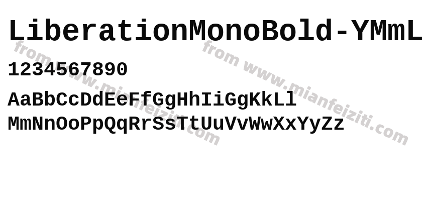 Liberation Mono Bold Y MmL预览图2