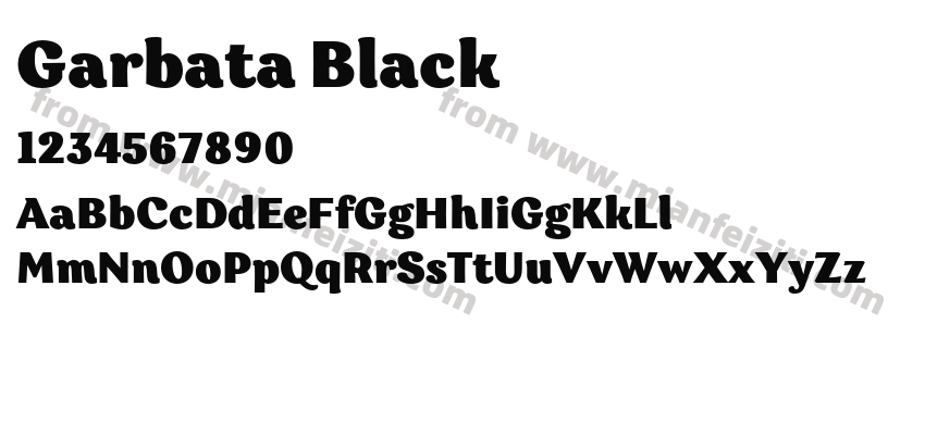 Garbata Black预览图2