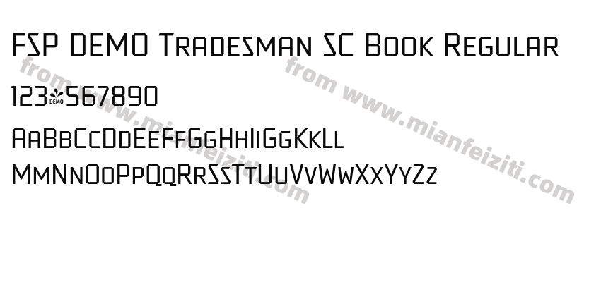 FSP DEMO Tradesman SC Book Regular预览图2