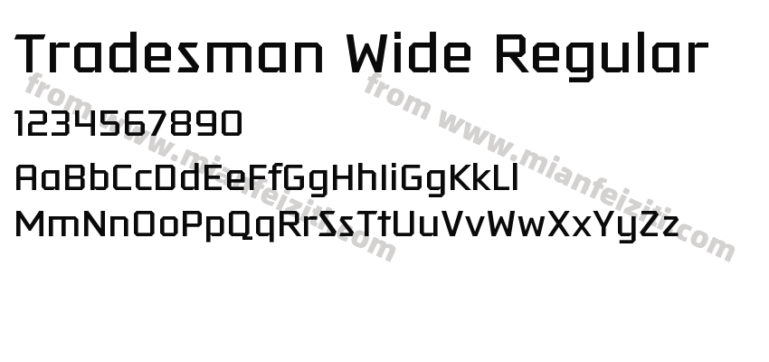 Tradesman Wide Regular预览图2