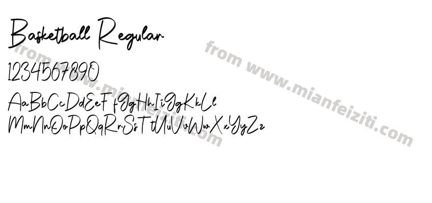Basketball Regular预览图2