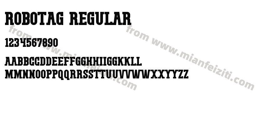 Robotag Regular预览图2