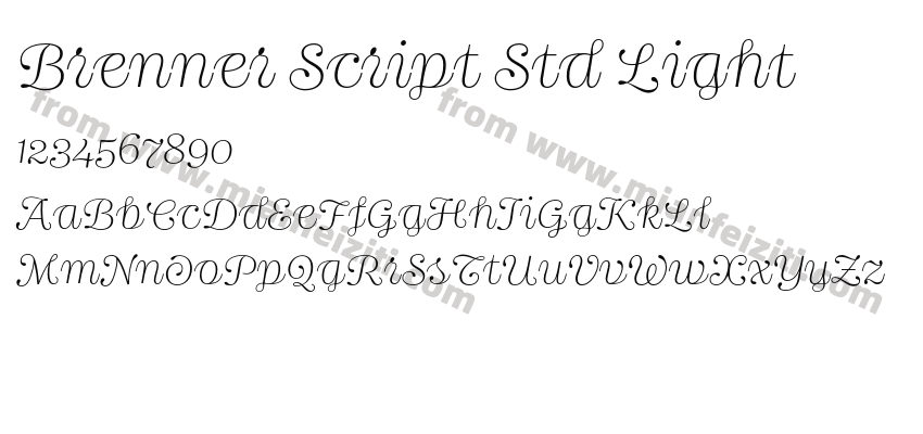 Brenner Script Std Light预览图2