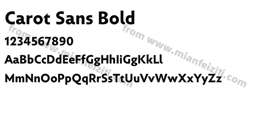 Carot Sans Bold预览图2