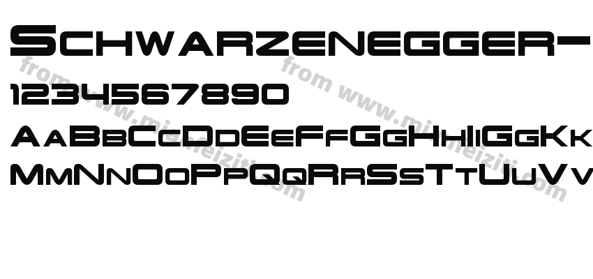 Schwarzenegger-203K字体预览