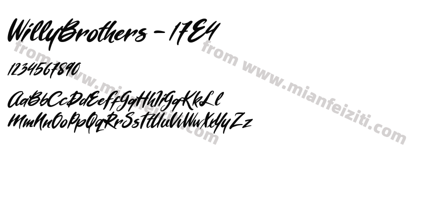 Willy Brothers 17E4预览图2