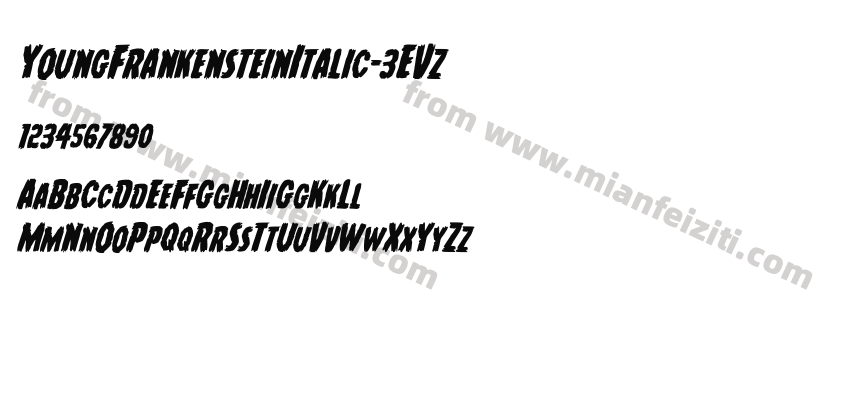 Young Frankenstein Italic 3E Vz预览图2