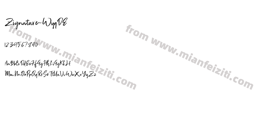Zignature WyqDE预览图2