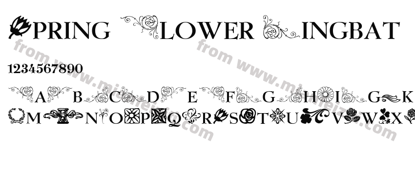Spring Flower Dingbats预览图2