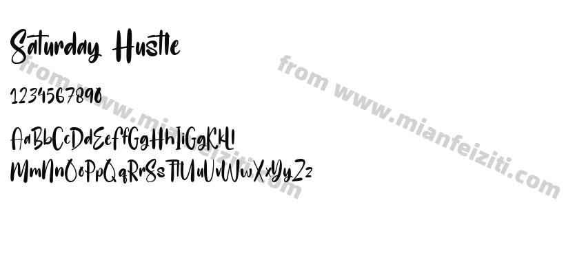 Saturday Hustle Regular预览图2