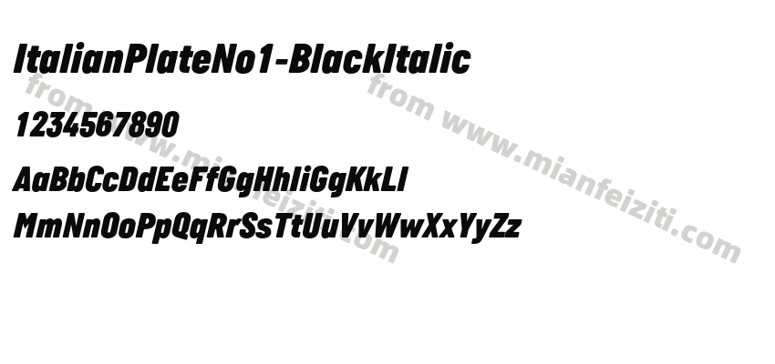 Italian Plate No1 Black Italic预览图2