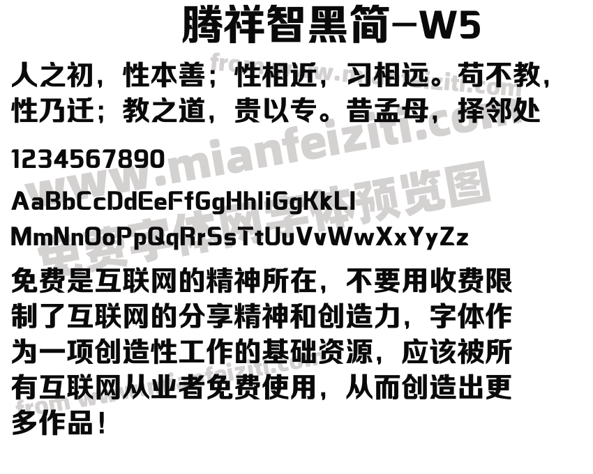 腾祥智黑简-W5预览图2