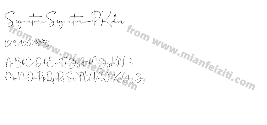 Signature Signature P Kdvr预览图2