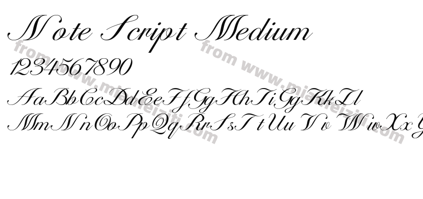 Note Script Medium字体预览