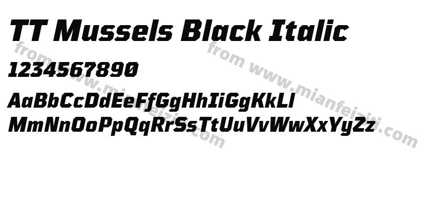 TT Mussels Black Italic字体预览