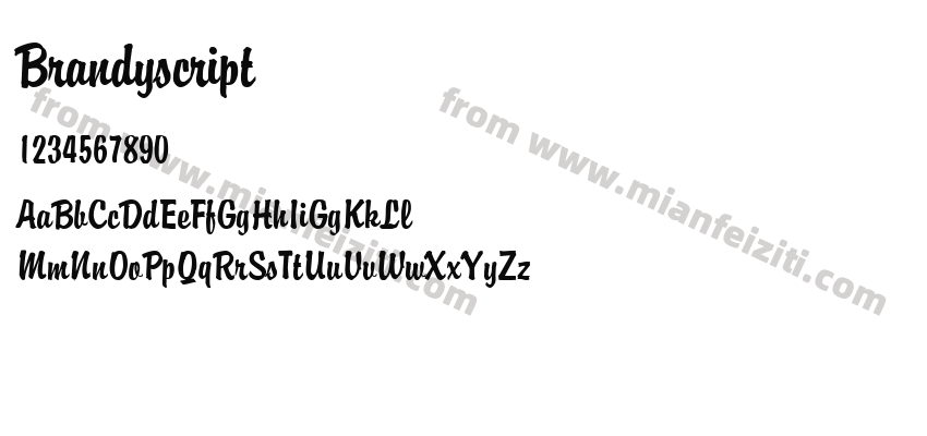 Brandyscript预览图2