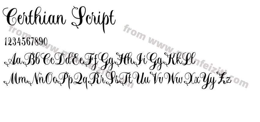 Certhian Script预览图2