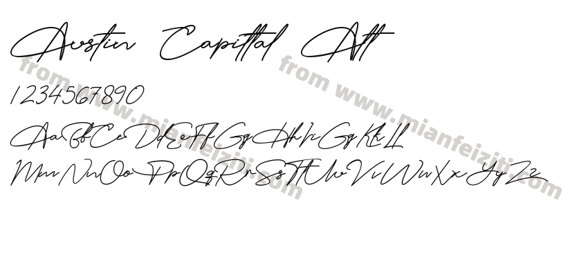 Austin Capittal Alt Regular预览图2